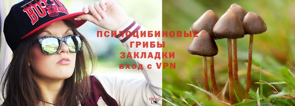 ALPHA PVP Аркадак