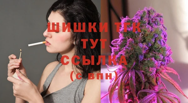 прущие грибы Арсеньев