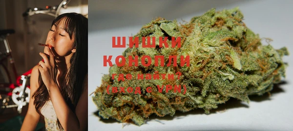 бошки Заводоуковск