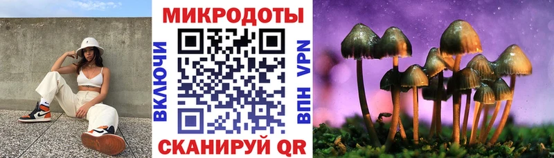 Галлюциногенные грибы мухоморы  Лукоянов 